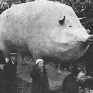 Meet your Posher, Kieren